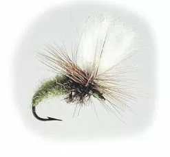 Klinkhammer Olive Strl.12