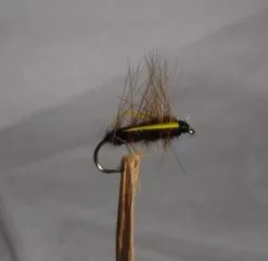 Klekkende Steinflue Sort #12