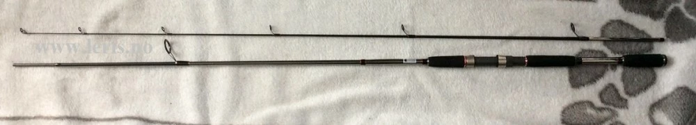 RYOBI Arctica SPX240, 240cm, 10 - 30g, 2-delt