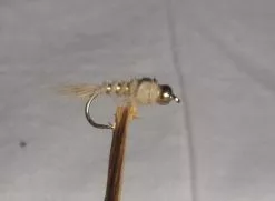 Kulehodenymfe Cream #12