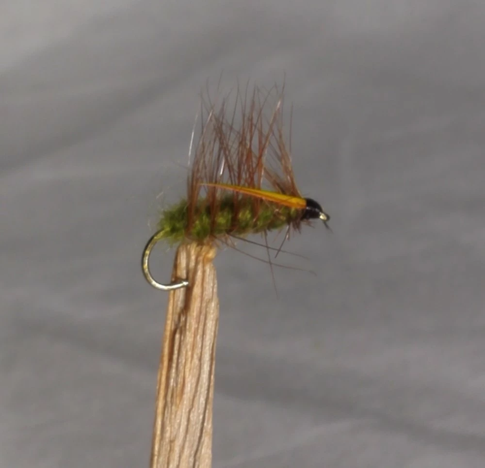 Klekkende Steinflue Grønn #12