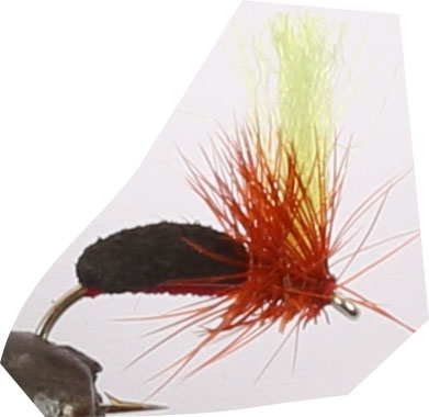 Lullen Yellow - Krok #12