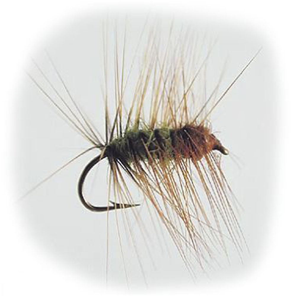 Superpuppa Brown & Green Krok #10