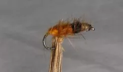 Superpuppa Oransje/Sort