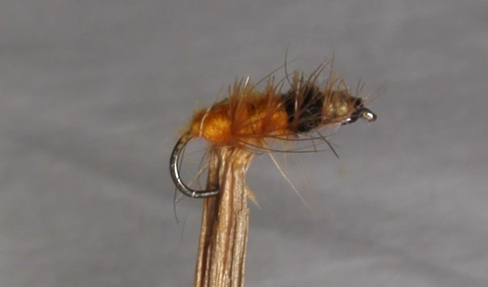 Superpuppa Oransje/Sort